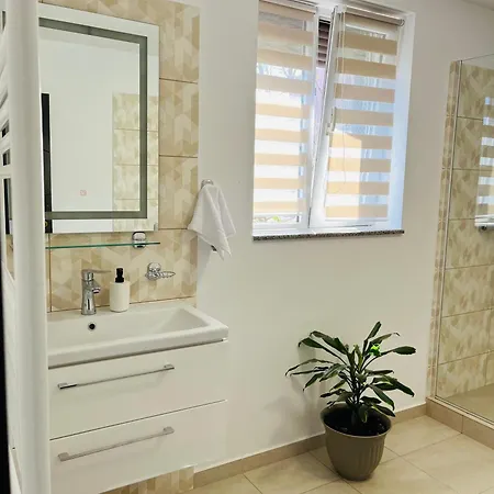 Random House 게스트하우스 브라쇼브