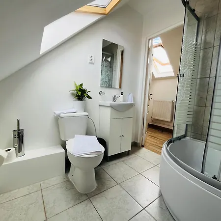 게스트하우스 Random House 브라쇼브